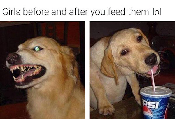 girls before and after food - Girls before and after you feed them lol