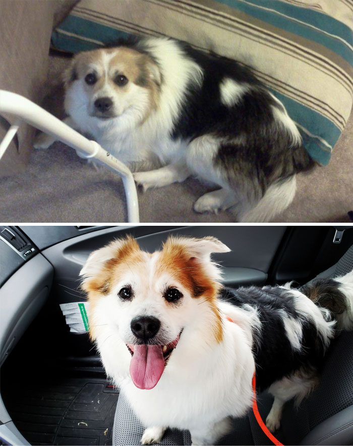 The day after adoption In 2012 vs. Today