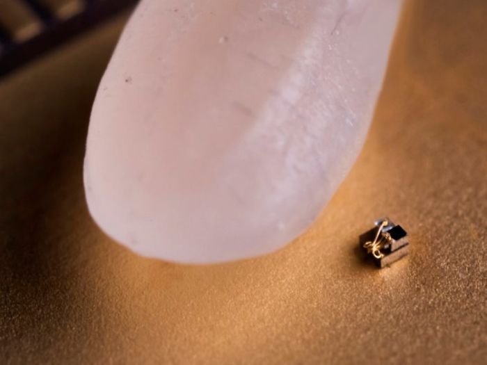 World's Smallest Computer Compared To A Grain Of Rice.