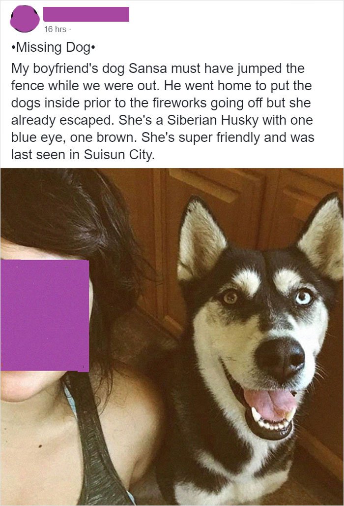 16 hrs Missing Dog. My boyfriend's dog Sansa must have jumped the fence while we were out. He went home to put the dogs inside prior to the fireworks going off but she already escaped. She's a Siberian Husky with one blue eye, one brown.