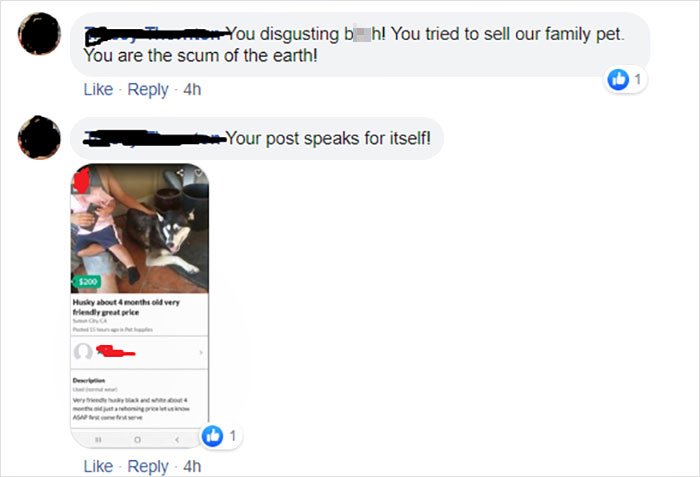 h! You tried to sell our family pet. ... You disgusting b You are the scum of the earth! 4h Your post speaks for itself! $300 very Husky about the friendly great price w As 4h