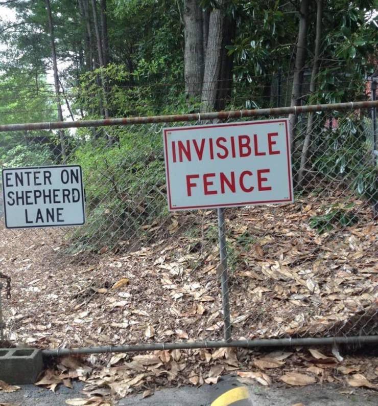 Invisible Fence Enter On Shepherd Lane