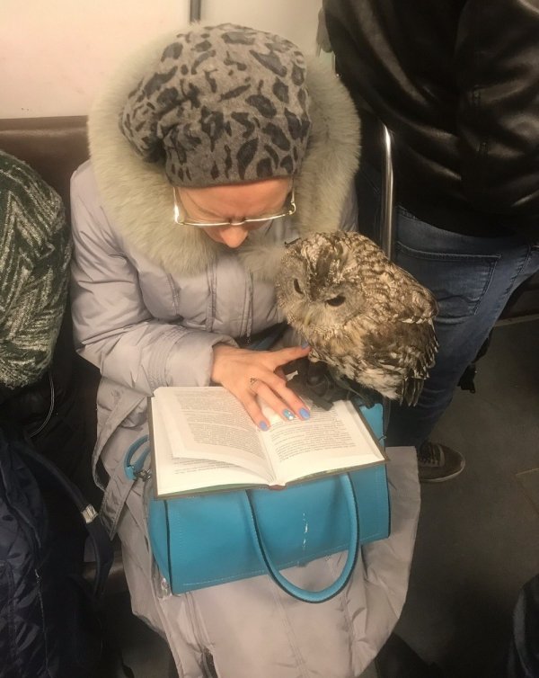 32 People on the subway that might confuse you.