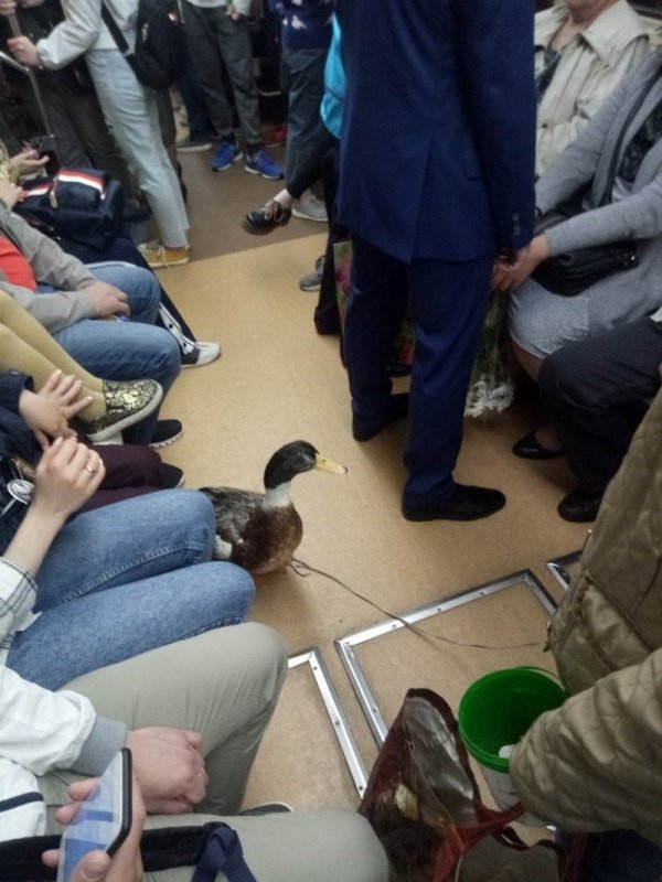 32 People on the subway that might confuse you.