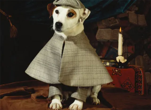 nostalgic wishbone dog