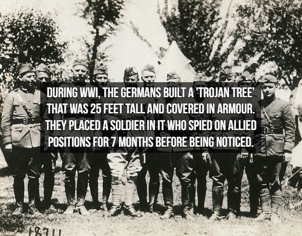 Spy Facts - During Wwi. The Germans Built A 'Trojan Tree' That Was 25 Feet Tall And Covered In Armour, They Placed A Soldier In It Who Spied On Allied Positions For 7 Months Before Being Noticed.