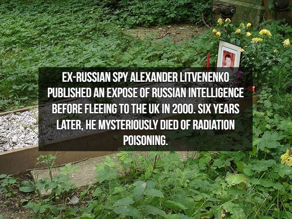 Spy Facts - ExRussian Spy Alexander Litvenenko Published An Expose Of Russian Intelligence Before Fleeing To The Uk In 2000. Six Years Later, He Mysteriously Died Of Radiation Poisoning. .