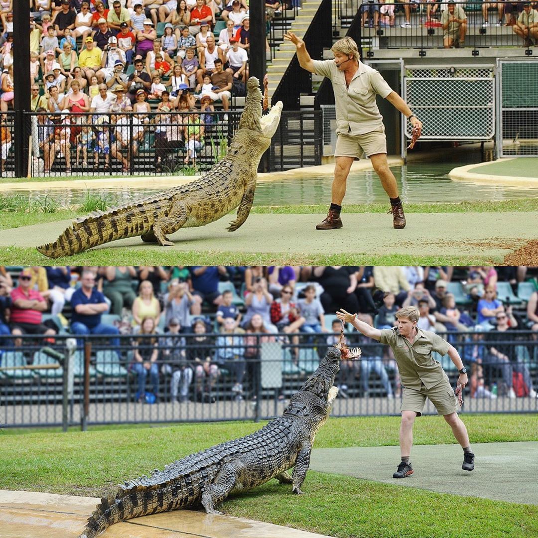 Robert Irwin feeding the same croc, in the same place as his father, Steve Irwin, 15 years later.