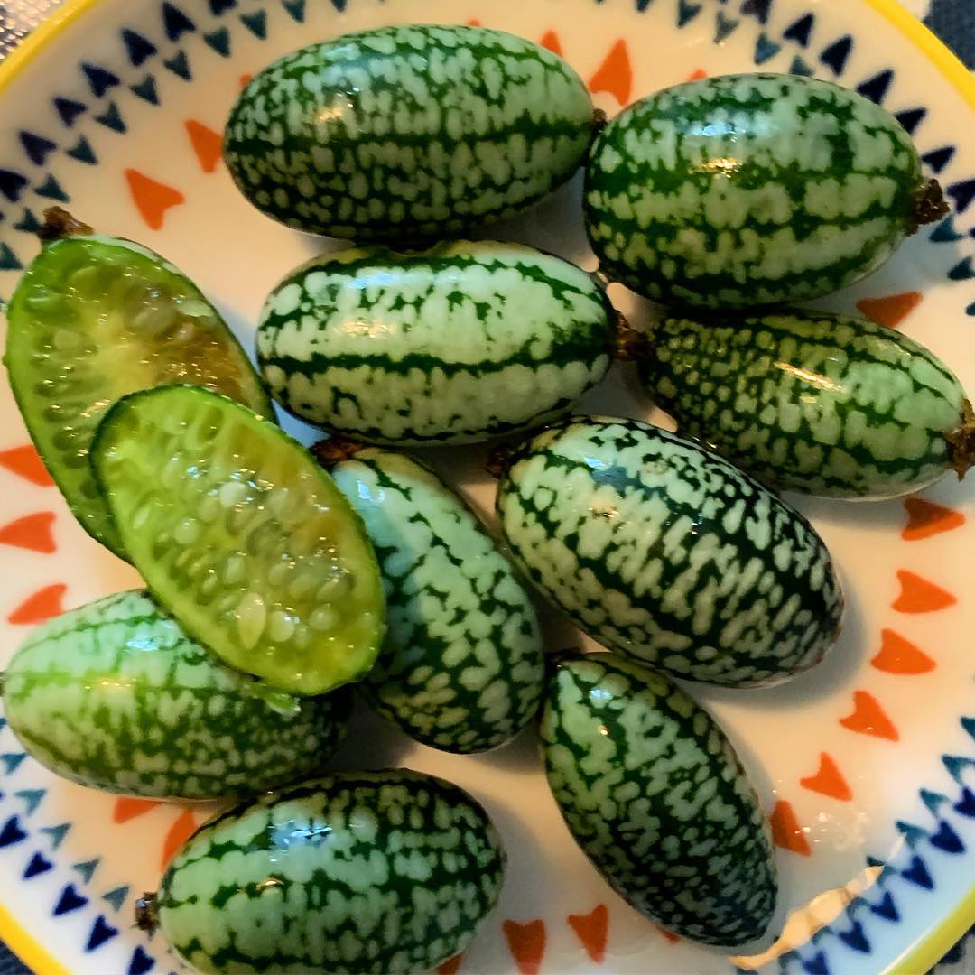 These are cucamelons. They look like watermelons, but taste like sour cucumbers.