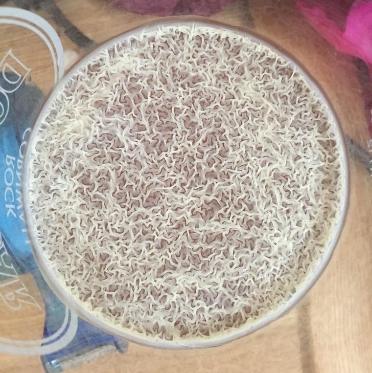 If you leave a glass of beer for a week, you’ll see an intricate pattern of yeast on its surface.