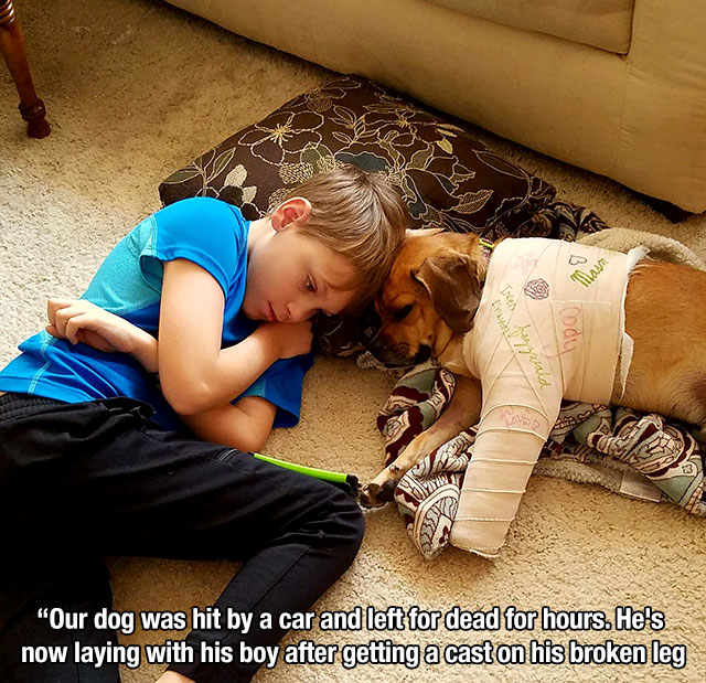 17 Pics to give you the feels.