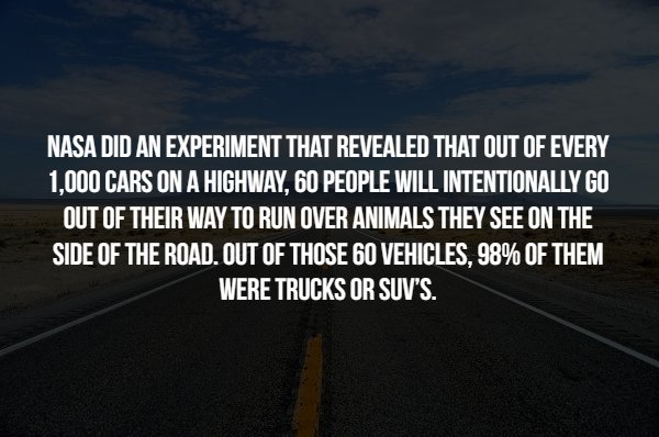 make it through life without - Nasa Did An Experiment That Revealed That Out Of Every 1.000 Cars On A Highway, 60 People Will Intentionally Go Out Of Their Way To Run Over Animals They See On The Side Of The Road. Out Of Those 60 Vehicles. 98% Of Them Wer