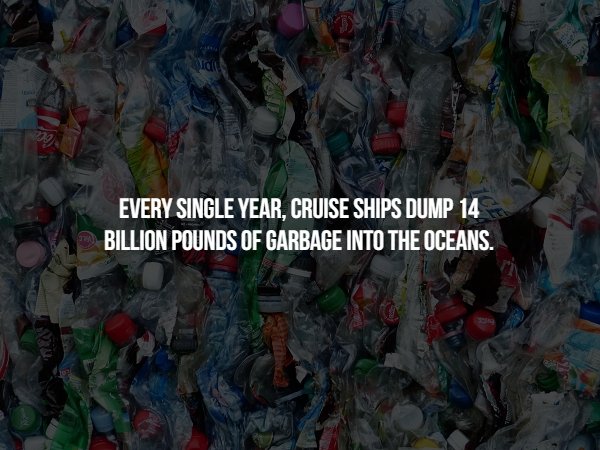 Wide Every Single Year. Cruise Ships Dump 14 Billion Pounds Of Garbage Into The Oceans.