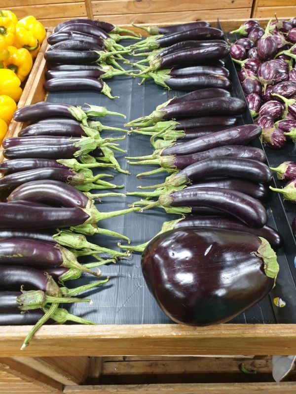 Comically large eggplant.