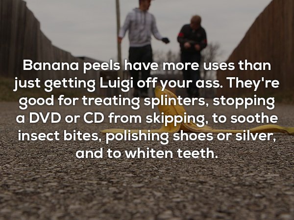 asphalt - Banana peels have more uses than just getting Luigi off your ass. They're good for treating splinters, stopping a Dvd or Cd from skipping, to soothe insect bites, polishing shoes or silver, and to whiten teeth.