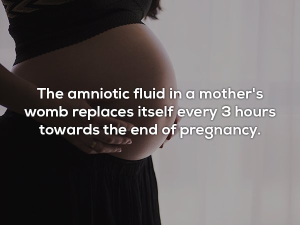 bloomberg - The amniotic fluid in a mother's womb replaces itself every 3 hours towards the end of pregnancy.