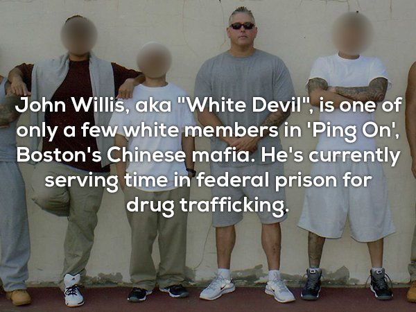 friendship - John Willis, aka "White Devil", is one of only a few white members in 'Ping On', Boston's Chinese mafia. He's currently serving time in federal prison for drug trafficking.