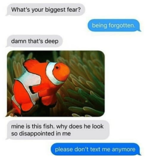 fish looks disappointed - What's your biggest fear? being forgotten. damn that's deep mine is this fish, why does he look so disappointed in me please don't text me anymore