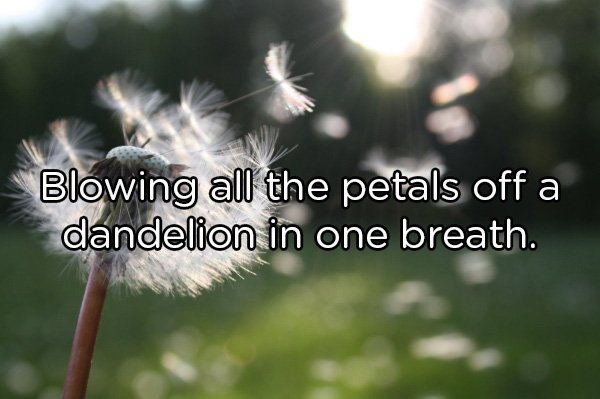 wind free - Blowing all the petals off a dandelion in one breath.