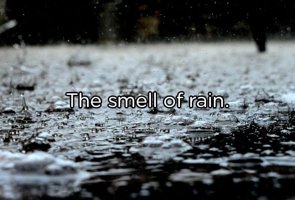 rain coming - The smell of rain.
