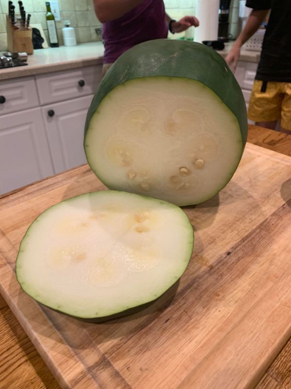 infuriating watermelon sized cucumber