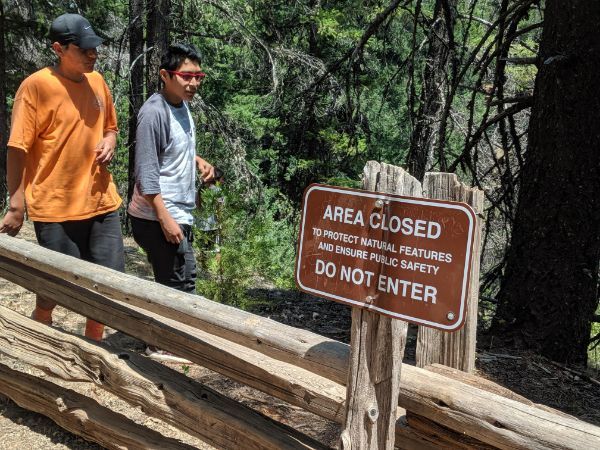 infuriating tree - Area Closed To Protect Natural Features And Ensure Public Safety Do Not Enter