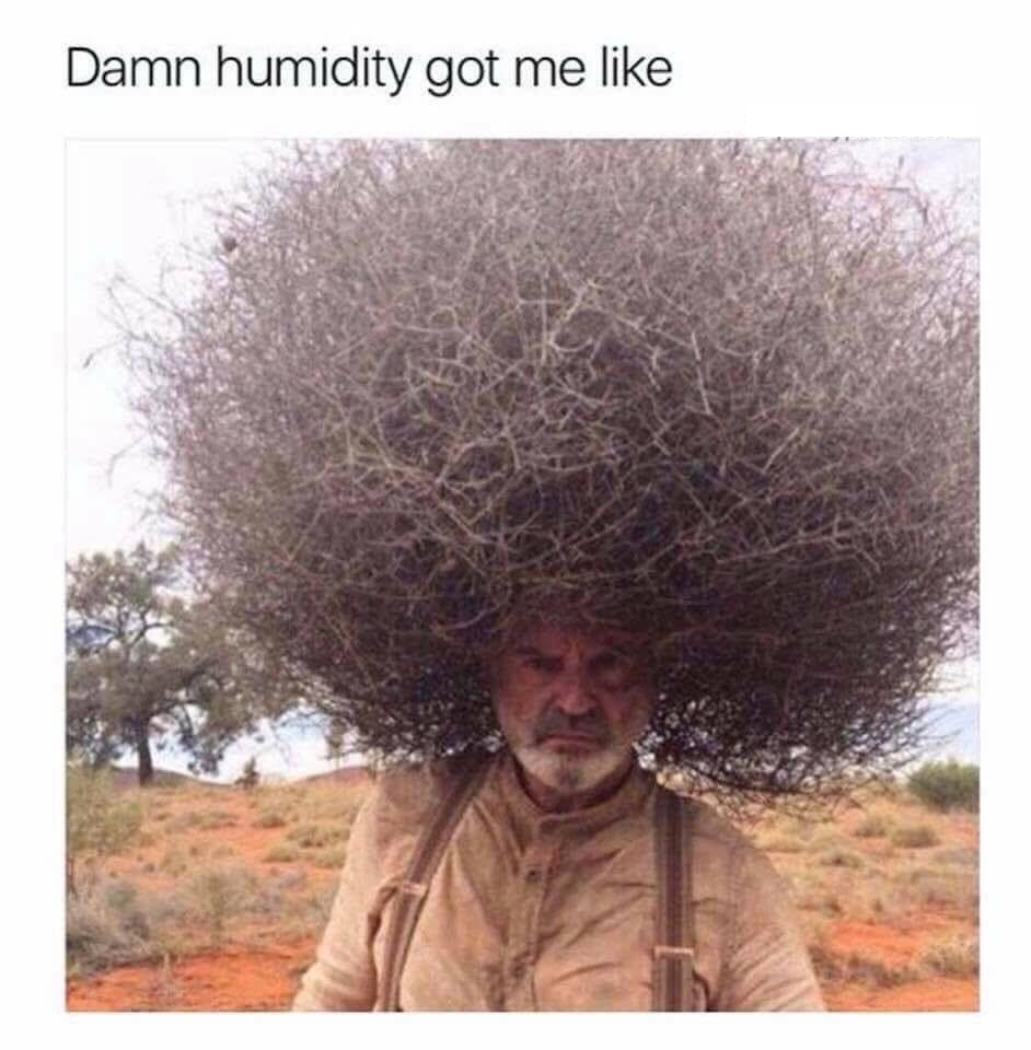 bushy head - Damn humidity got me
