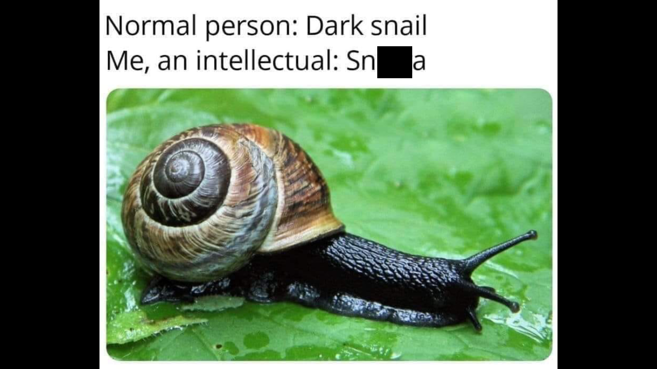 snigga snail meme - Normal person Dark snail Me, an intellectual Sna