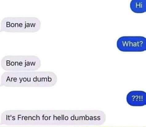 Bone jaw What? Bone jaw Are you dumb ??!! It's French for hello dumbass