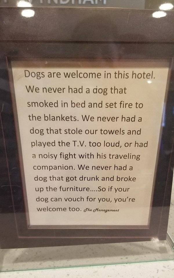 memorial - Dogs are welcome in this hotel. We never had a dog that smoked in bed and set fire to the blankets. We never had a dog that stole our towels and played the T.V. too loud, or had a noisy fight with his traveling companion. We never had a dog tha