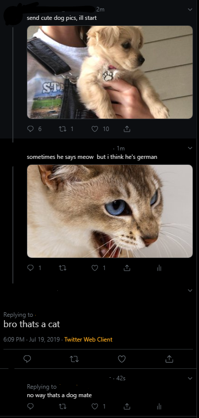 photo caption - 2m send cute dog pics, ill start 06 271 o 10 i 1m sometimes he says meow but i think he's german 01 27 01 il bro thats a cat . Twitter Web Client 22 .425 ' no way thats a dog mate 9 12 01 ili