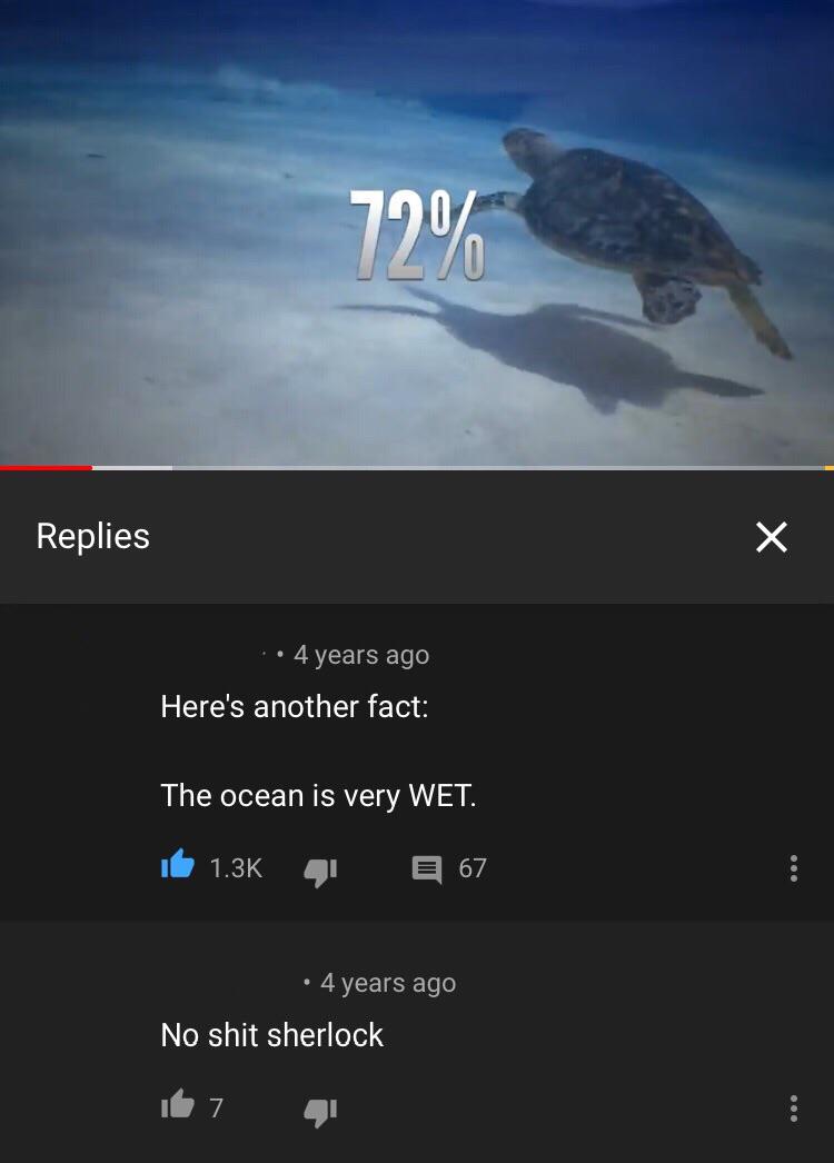 sky - 70% Replies 4 years ago Here's another fact The ocean is very Wet. 'ib 67 4 years ago No shit sherlock Id 7.