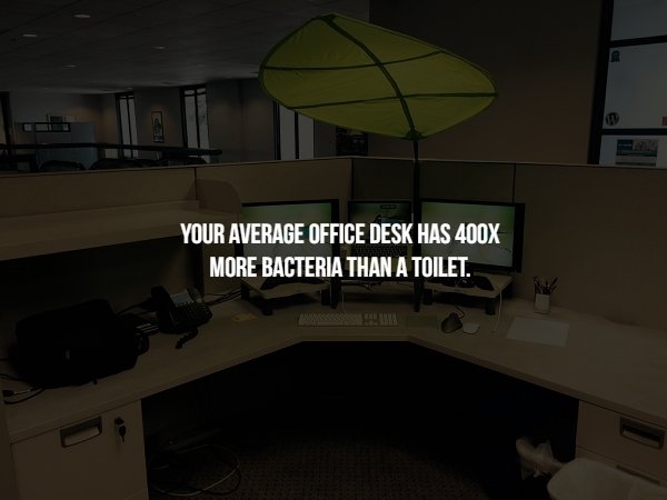 ikea leaf shade - Your Average Office Desk Has 400X More Bacteria Than A Toilet.