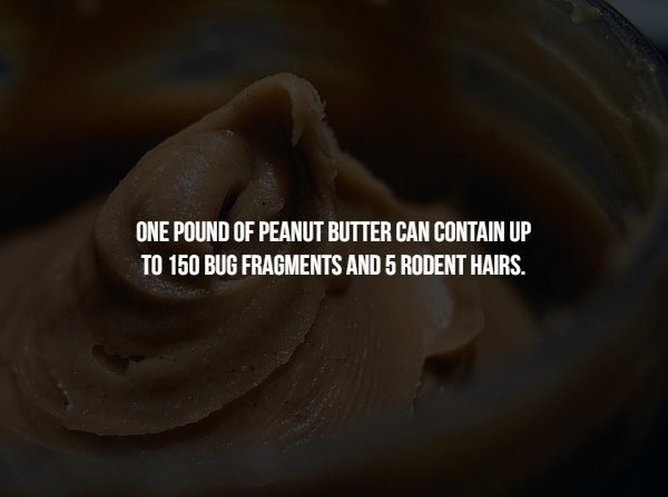 material - One Pound Of Peanut Butter Can Contain Up To 150 Bug Fragments And 5 Rodent Hairs.