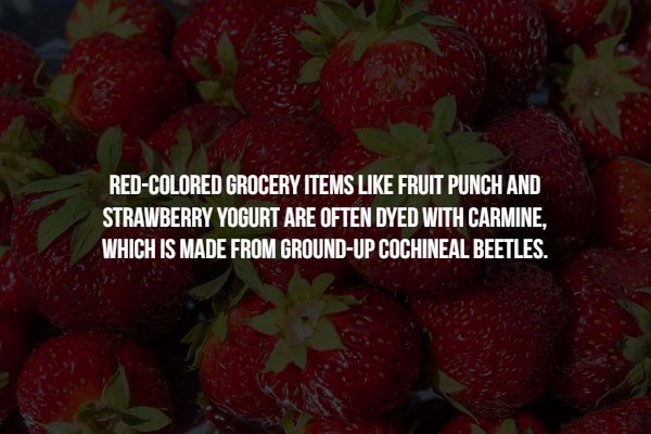 natural foods - RedColored Grocery Items Fruit Punch And Strawberry Yogurt Are Often Dyed With Carmine, Which Is Made From GroundUp Cochineal Beetles.