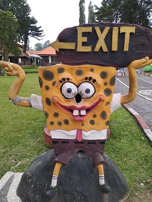 wtf exit signs - Exit