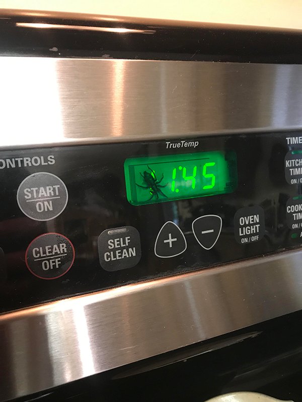 wtf electronics - TrueTemp Time Ontrols Kitch Timi OnO Start On Cook Oven Tim OnO Light OnOff Self Clear Clean Off