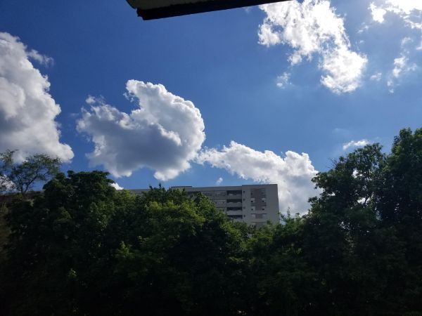 This cloud looks like a farting squirrel.