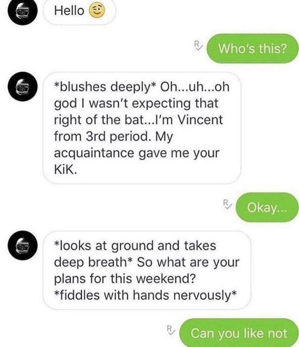 Hello Who's this? blushes deeply Oh...uh...oh god I wasn't expecting that right of the bat...I'm Vincent from 3rd period. My acquaintance gave me your KiK. Okay... looks at ground and takes deep breath So what are your plans for this weekend? fiddles with