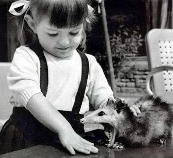 cursed - little girl with possum