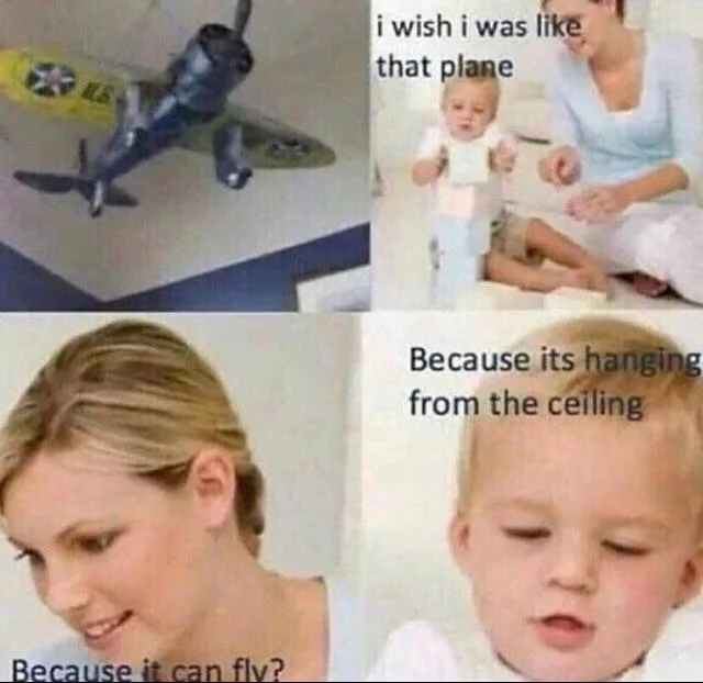 wish i was like that plane meme - i wish i was that plane Because its hanging from the ceiling Because it can flv?