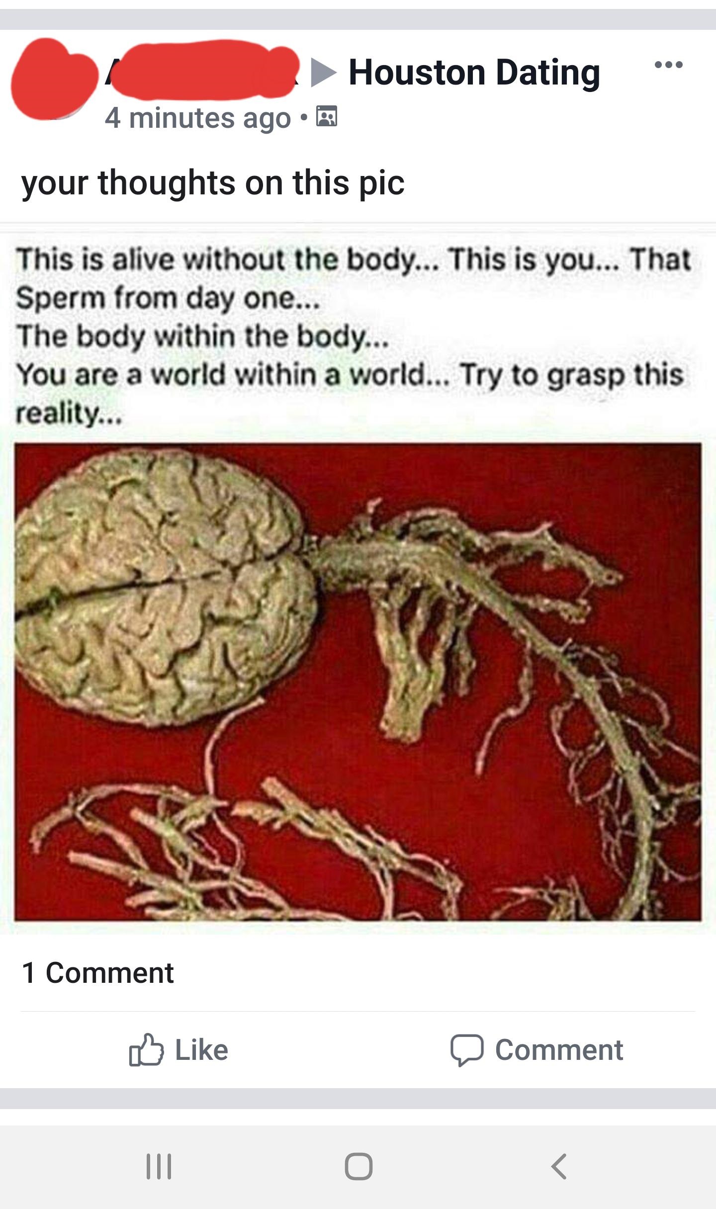 brain and spinal cord real - Houston Dating 4 minutes ago .mn your thoughts on this pic This is alive without the body... This is you... That Sperm from day one... The body within the body... You are a world within a world... Try to grasp this reality... 