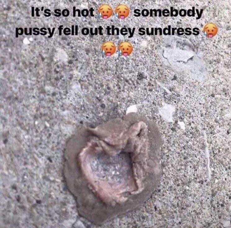 it's so hot memes - It's so hot somebody pussy fell out they sundress
