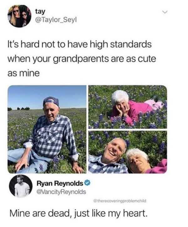 cute feel good wholesome memes - tay It's hard not to have high standards when your grandparents are as cute as mine Ryan Reynolds Mine are dead, just my heart.