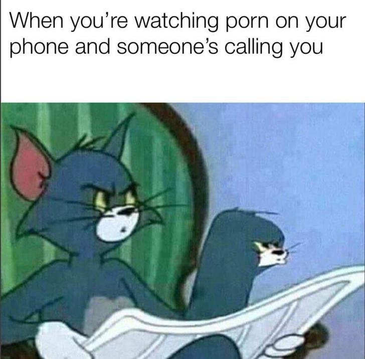 my bird gay - When you're watching porn on your phone and someone's calling you