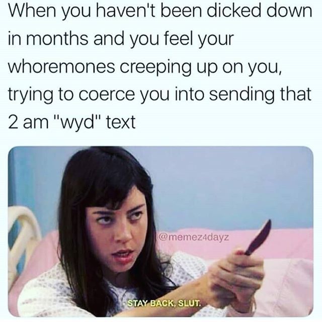 dickpressed meme - When you haven't been dicked down in months and you feel your whoremones creeping up on you, trying to coerce you into sending that 2 am "wyd" text Stay Back, Slut.