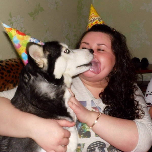 siberian husky wearing a birthday party hat licking a birthday girls tongue