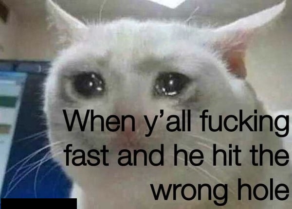 funny crying cat meme that says When y'all fucking fast and he hit the wrong hole