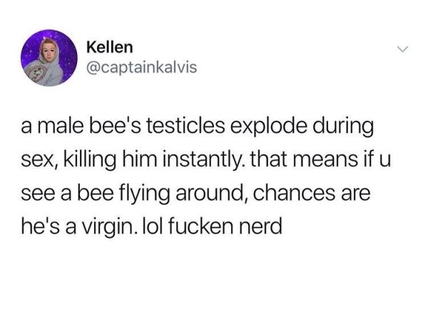 my dog peed a little when he saw me - Kellen a male bee's testicles explode during sex, killing him instantly. that means if u see a bee flying around, chances are he's a virgin. lol fucken nerd