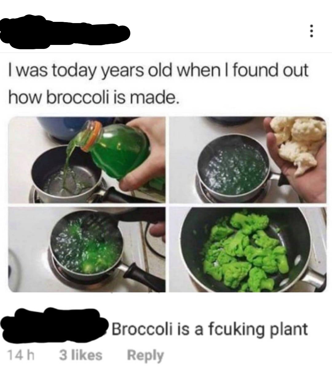 today years old when i found out - I was today years old when I found out how broccoli is made. Broccoli is a fcuking plant 14h 3